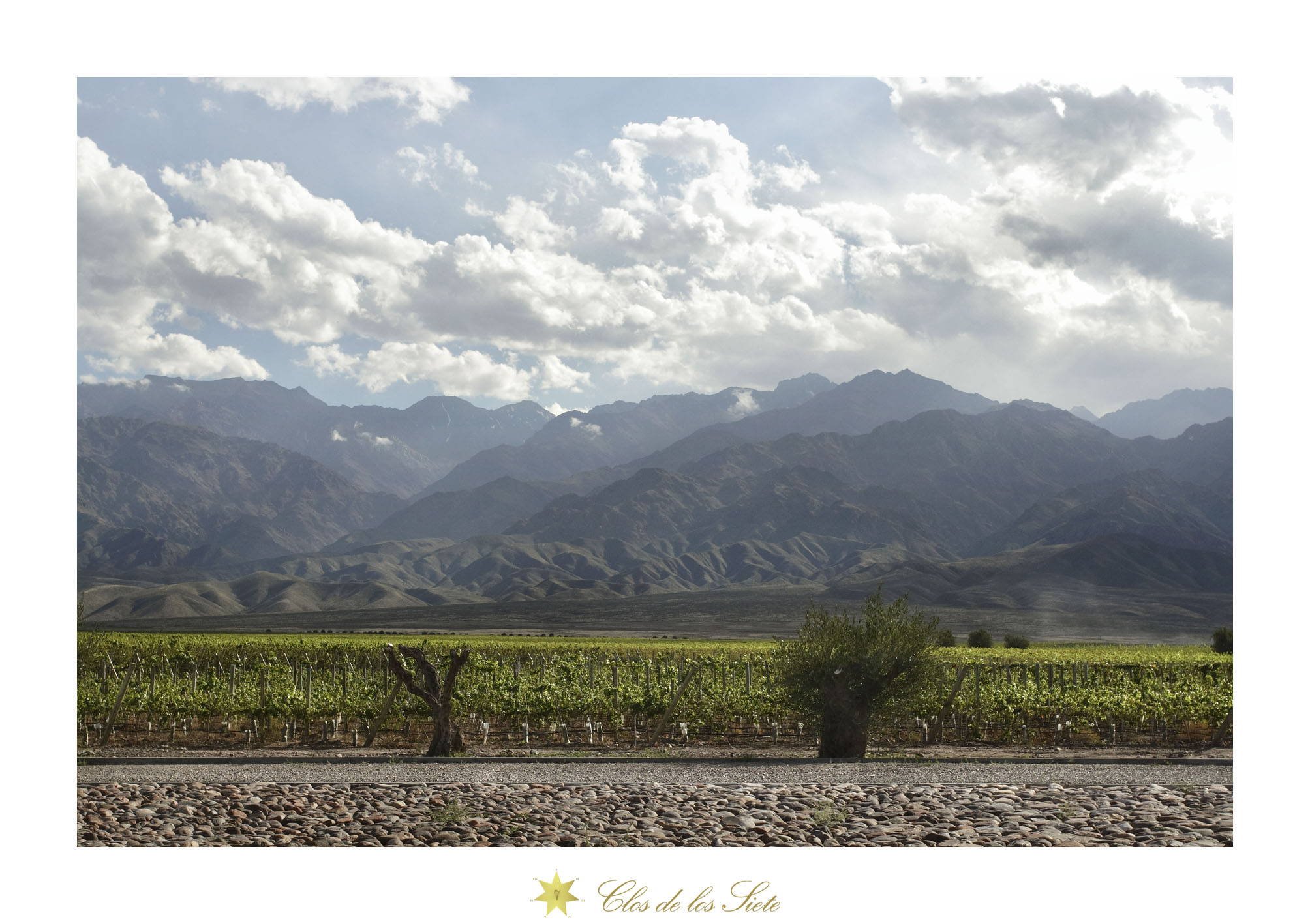 Picturesque CLOS DE LOS SIETE with Andes in the background