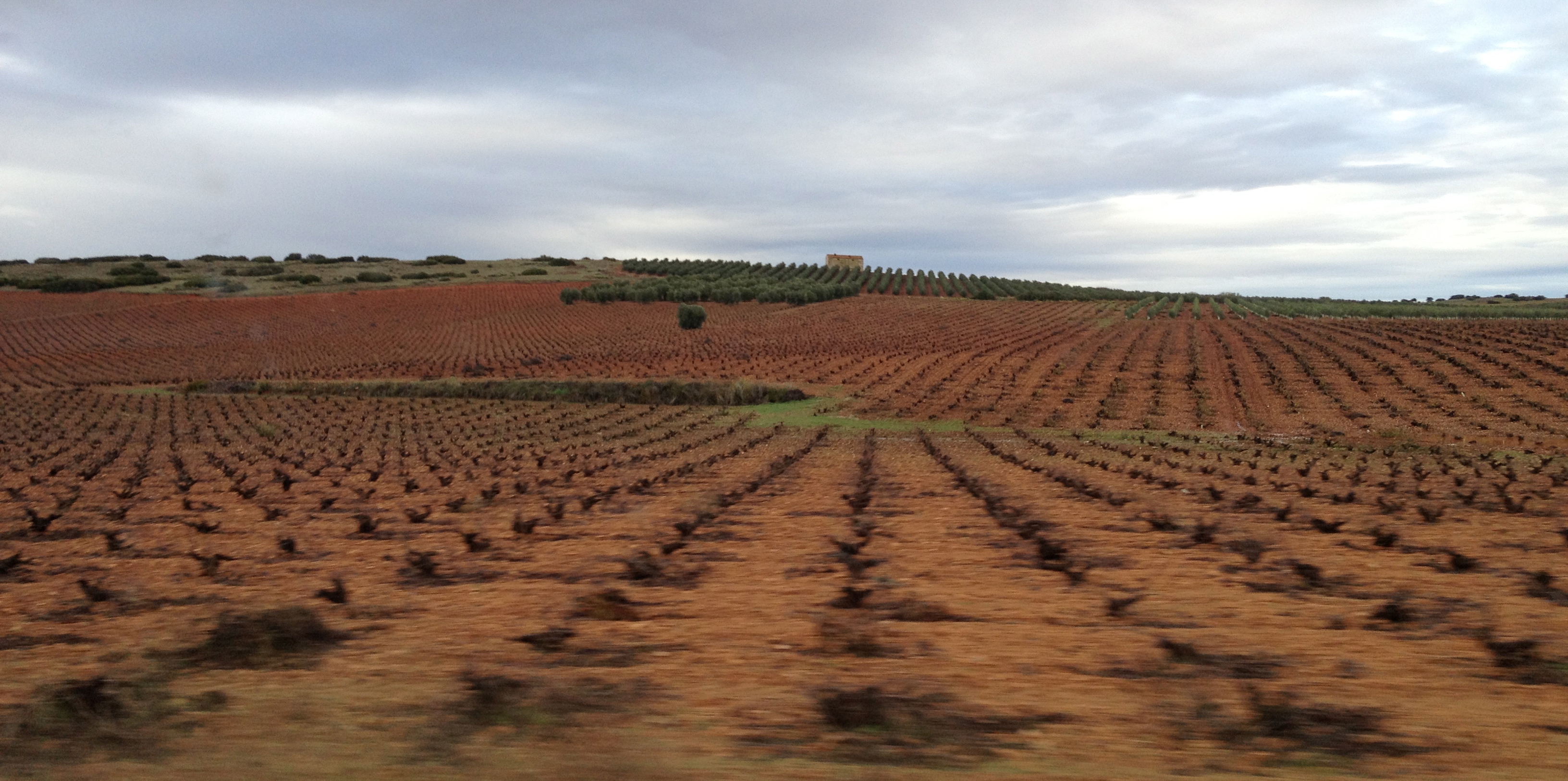 The arid land of Valdepeñas in Spain