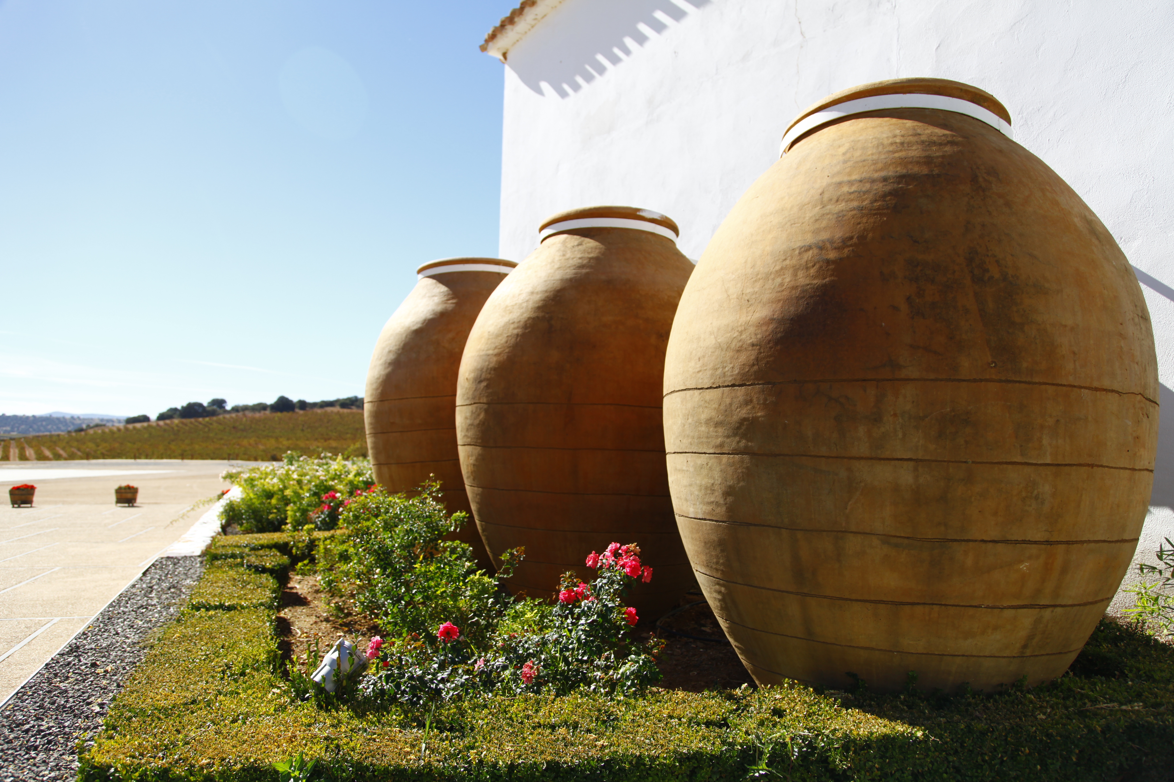 Giant amphoras at Bodegas Real. Photo by Zlata Rodionova
