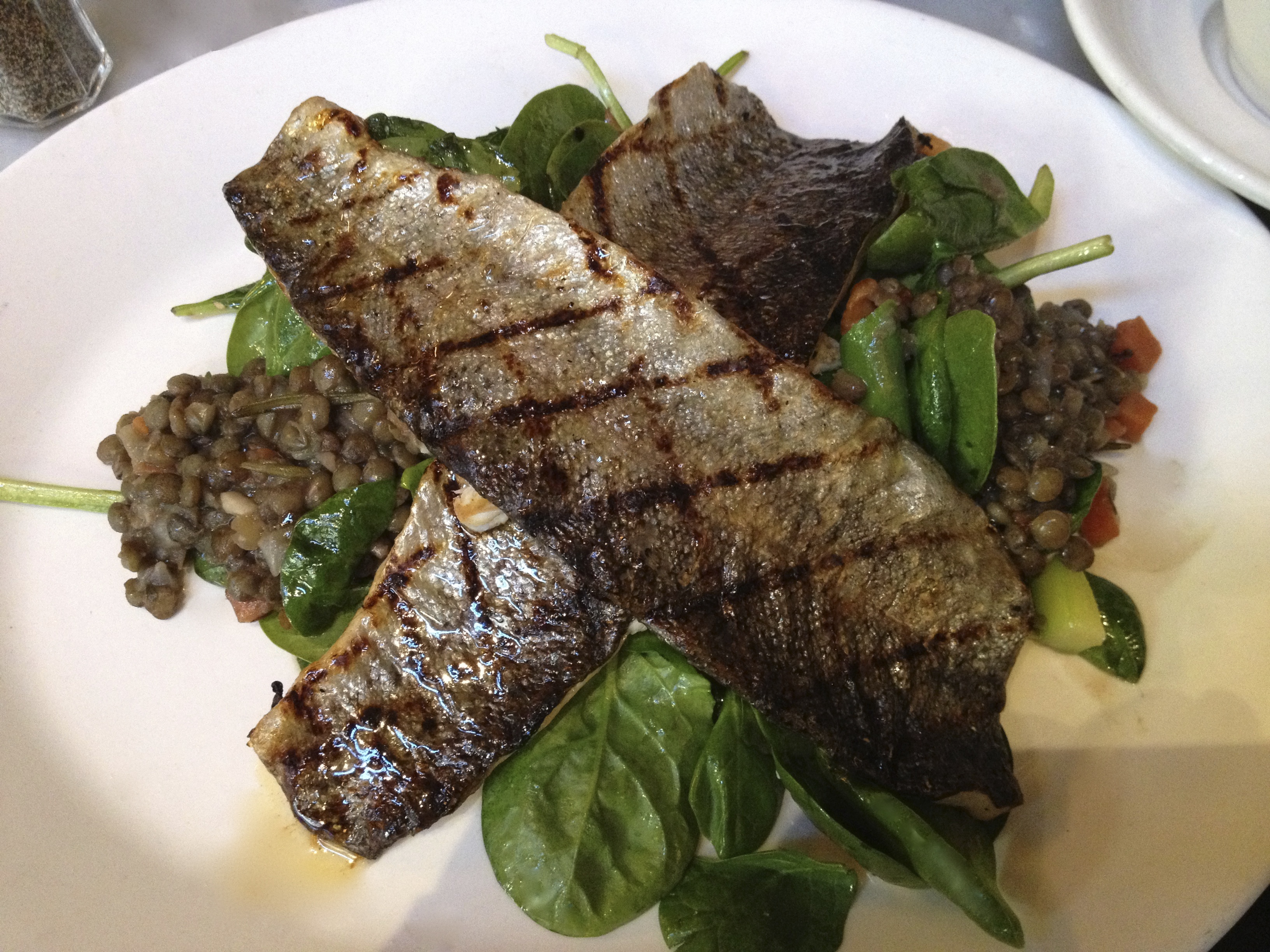 Grilled fish & lentil salad