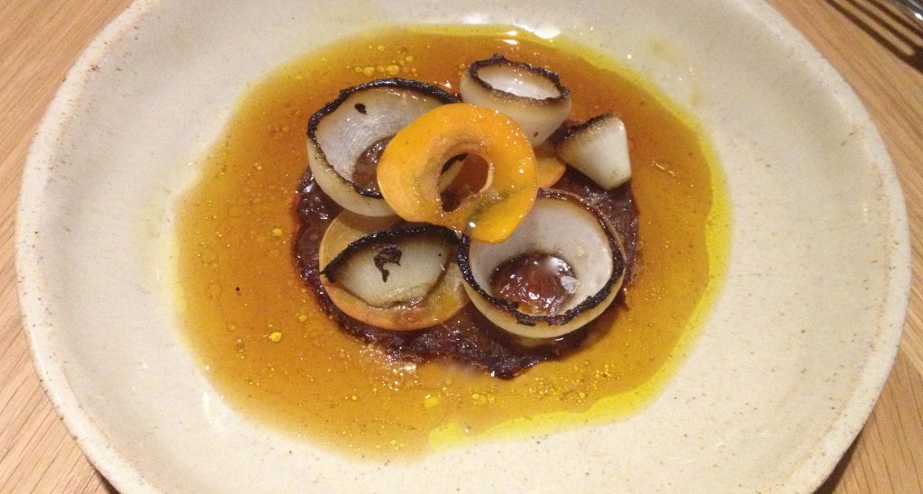 Onion and Apricot