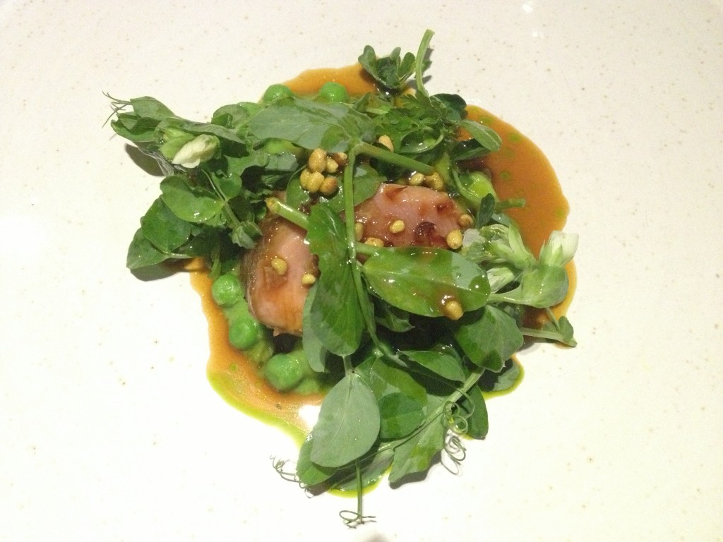 Tender veal in its juice with pea shoots, whole peas and pine berries