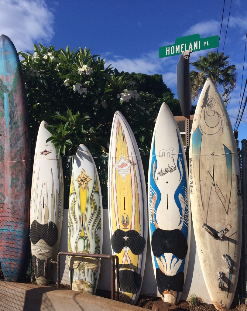 Surfboards lined along the North shore in Maui