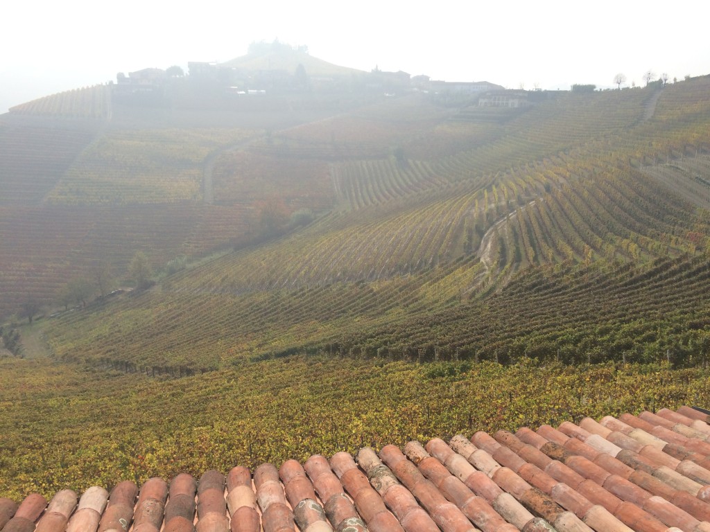 Barbaresco vineyards from Teobaldo Rivella's house